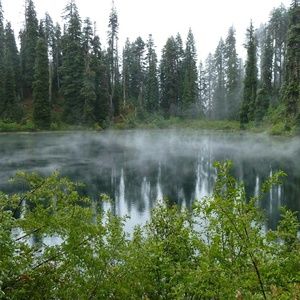 Meet your Posher, Jc